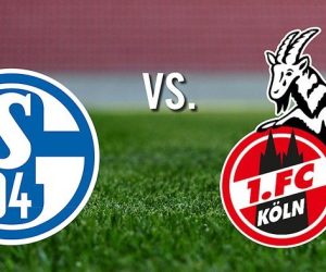 Schalke vs Koln, Bundesliga Jerman